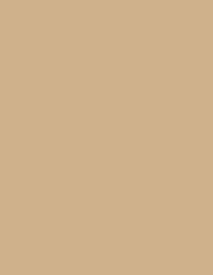 Polyneon 60 (1.500 m) - 1884 Dark Cream