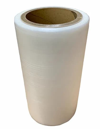 Avalon - Transparent