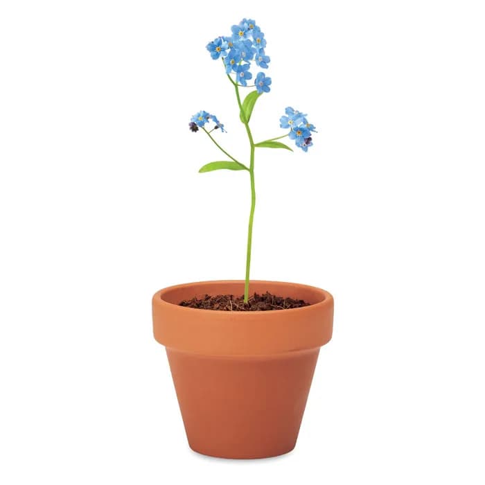 Terracotta-Topf Vergissmeinnich - FORGET ME NOT - Holz