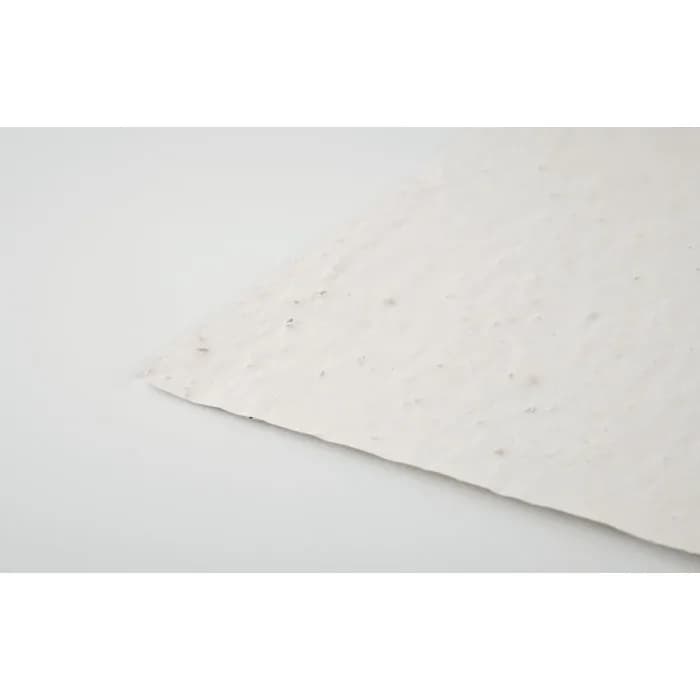 DIN A4 Wildblumen-Samenpapier - ASIDI - Weiß