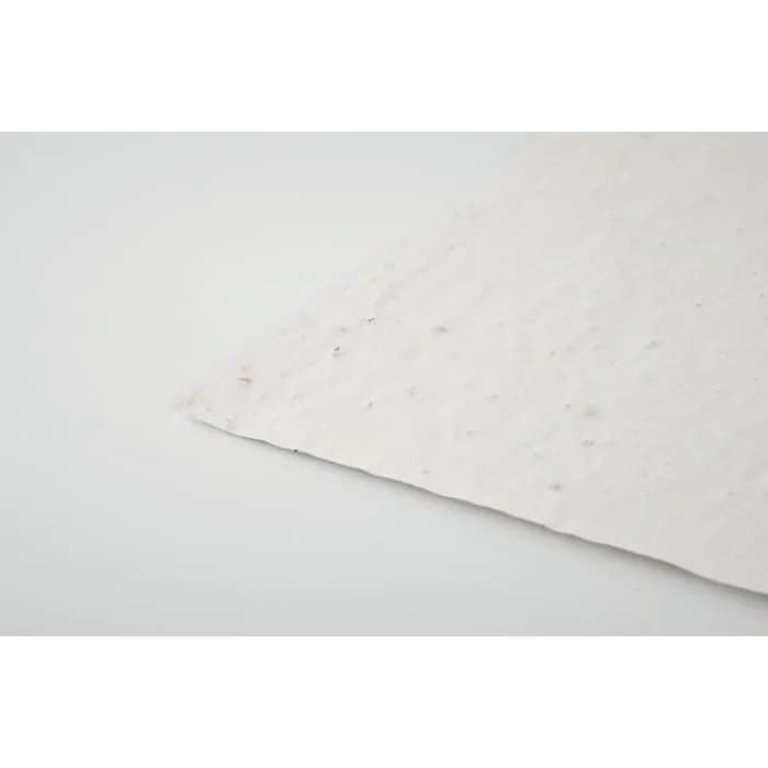 DIN A5 Wildblumen-Samenpapier - ASIDE - Weiß