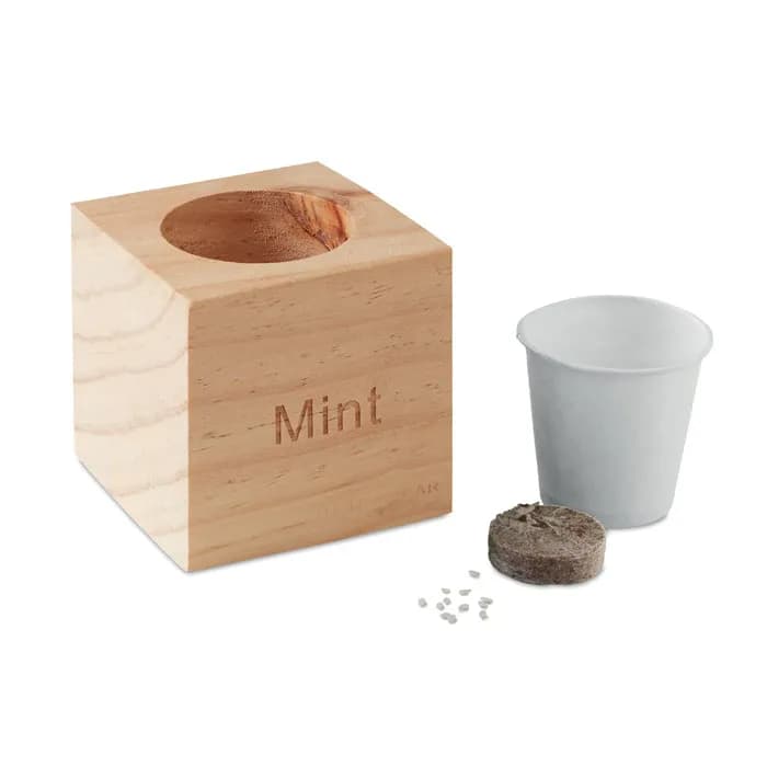 Kräuterpflanz-Set "Minze'' - MENTA - Holz
