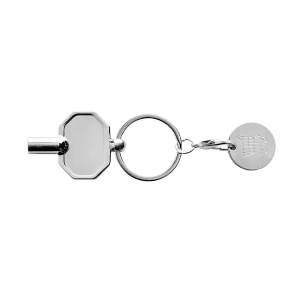 RCS Heizkörpschlüssel & Einkaufswagens-Chip am Schlüsselring - silber
