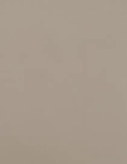 CAD-CUT® Premium Plus - Beige 004 (ca. Pantone 4685C)