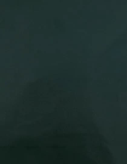 CAD-CUT® Premium Plus - Dark Green 410 (ca. Pantone 560C)