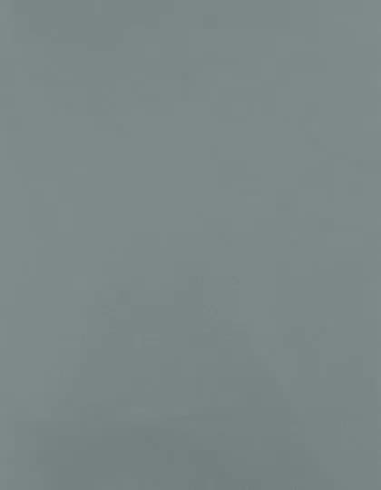 CAD-CUT® Premium Plus - Iceberg Green 424 (ca. Pantone 443C)