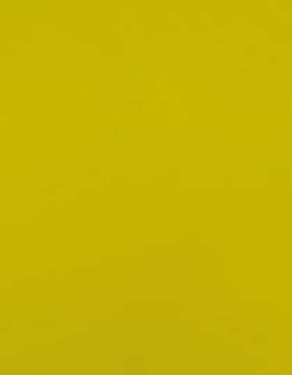 CAD-CUT® Premium Plus - Lemon 100 (ca. Pantone 7405C)