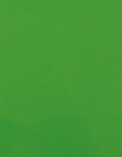 CAD-CUT® Premium Plus - Light Green 422 (ca. Pantone 362C)