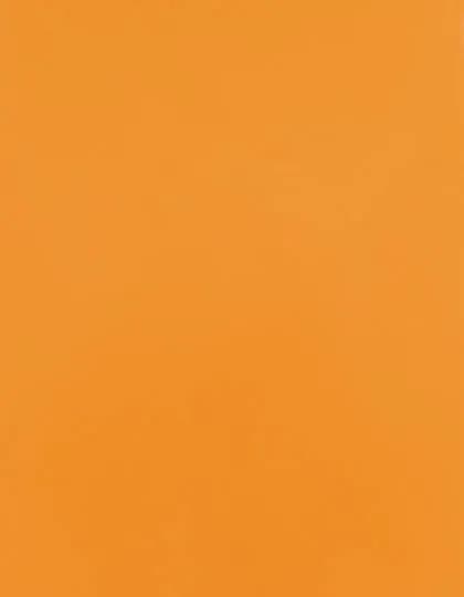 CAD-CUT® Premium Plus - Light Orange 185 (ca. Pantone 1495C)