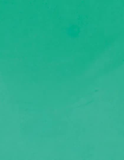 CAD-CUT® Premium Plus - Mint 419 (ca. Pantone 339C)