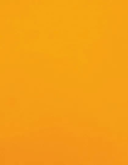 CAD-CUT® Premium Plus - Neon Orange 181