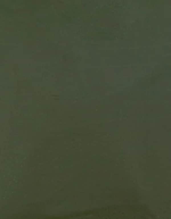 CAD-CUT® Premium Plus - Olive 430 (ca. Pantone 7763C)