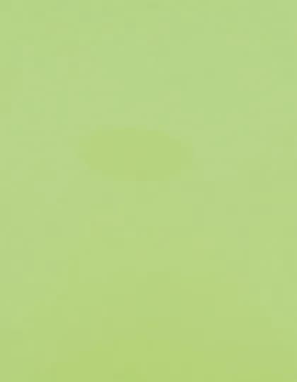 CAD-CUT® Premium Plus - Pastel Green 420 (ca. Pantone 358C)