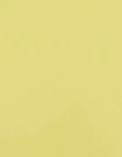 CAD-CUT® Premium Plus - Pastel Yellow 105 (ca. Pantone 602C)
