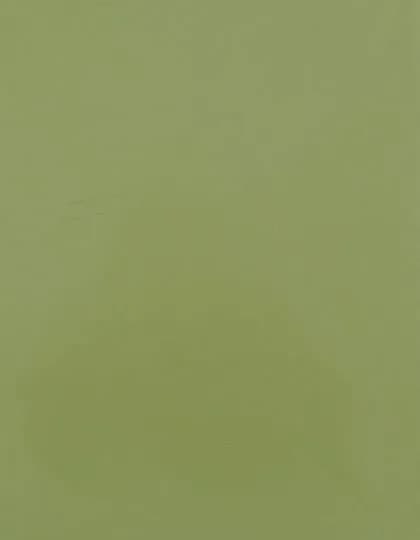 CAD-CUT® Premium Plus - Pistachio Green 425 (ca. Pantone 5777 C)