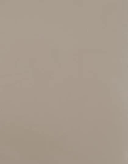 CAD-CUT® SportsFilm - Beige 004 (ca. Pantone 4685C)