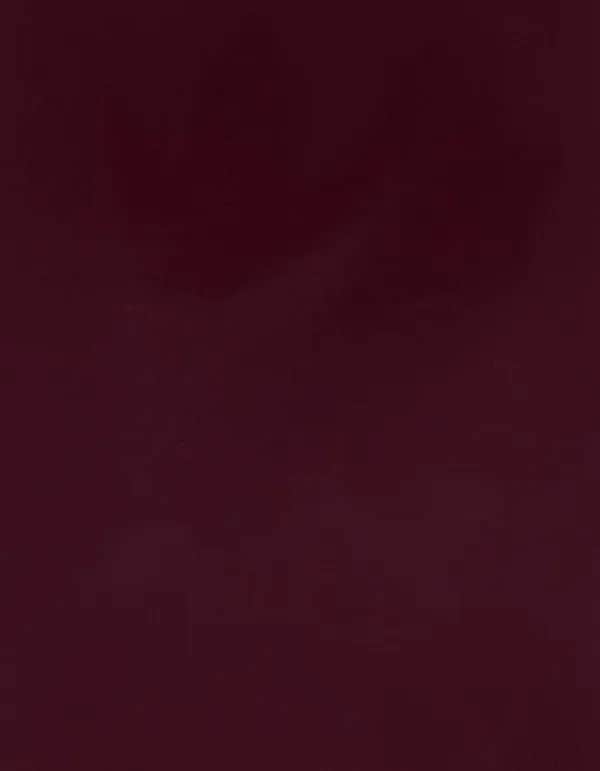CAD-CUT® SportsFilm - Burgundy 270 (ca. Pantone 188C)