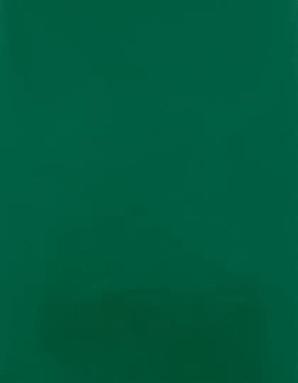 CAD-CUT® Silicone 100 - Green 400 (ca. Pantone 7727C)