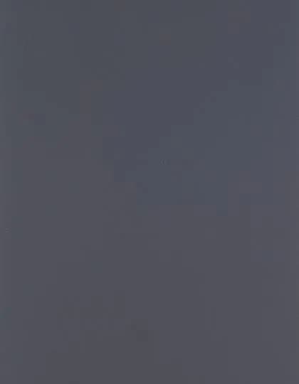 CAD-CUT® Premium Plus - Mid Grey 740 (ca. Pantone Cool Gray 10C)