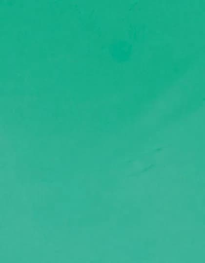 CAD-CUT® SportsFilm - Mint 419 (ca. Pantone 339C)