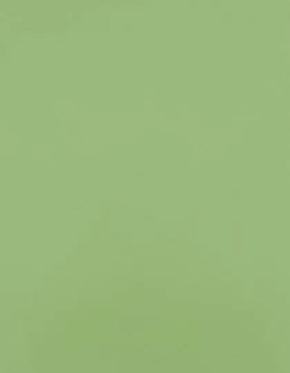 CAD-CUT® SportsFilm - Pastel Green 420 (ca. Pantone 358C)