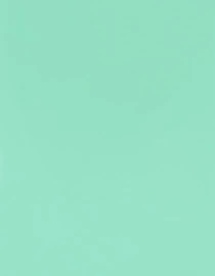 CAD-CUT® Premium Plus - Pastel Mint 370 (ca. Pantone 317C)