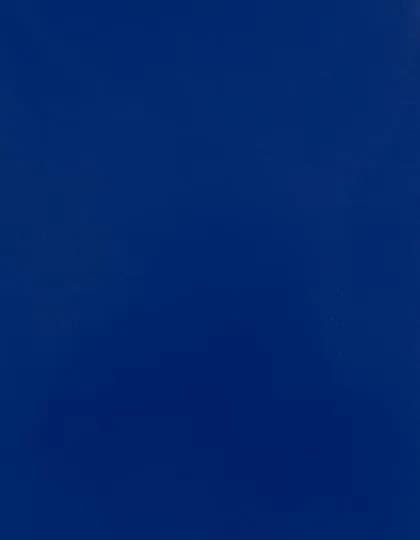 CAD-CUT® Silicone 100 - Royal Blue 300 (ca. Pantone 286C)