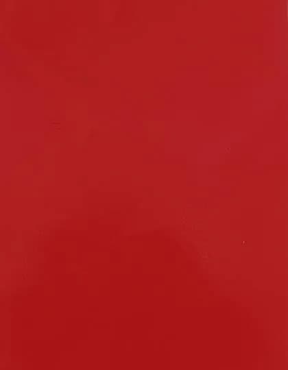 CAD-CUT® SportsFilm - Signal Red 210 (ca. Pantone 185C)