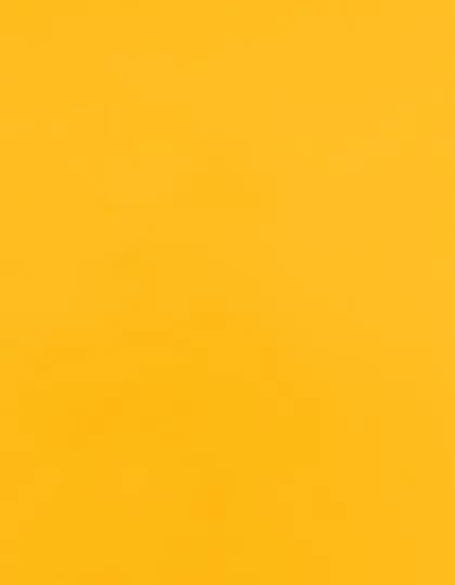 CAD-CUT® SportsFilm - Sunflower Yellow 106 (ca. Pantone 137C)