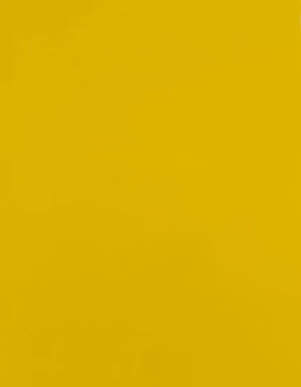 CAD-CUT® Premium Plus Sublistop - Yellow 110 (ca. Pantone 012C)