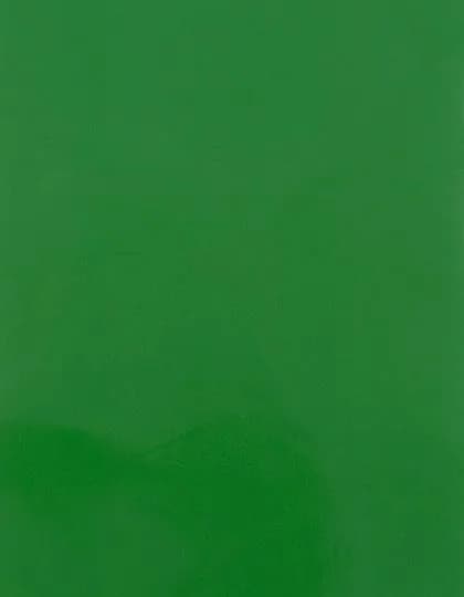 CAD-CUT® Premium Plus Sublistop - Light Green 422 (ca. Pantone 362C)