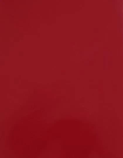 CAD-CUT® Silicone 100 - Red 200 (ca. Pantone 186C)