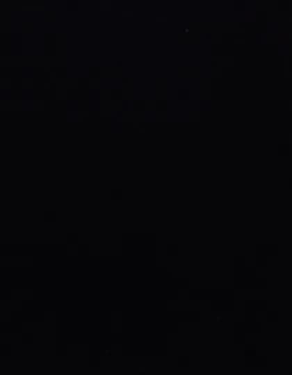 CAD-CUT® Flock - Black 700