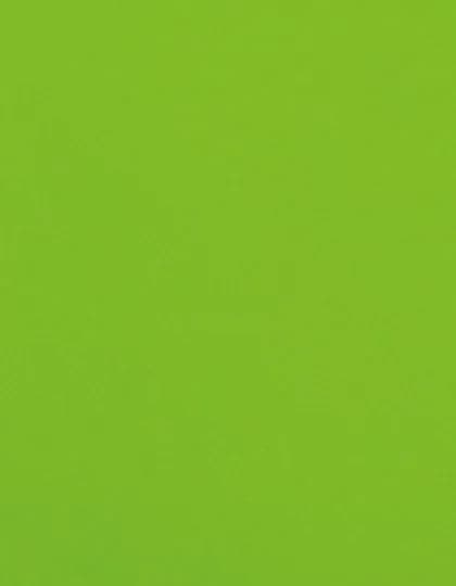 CAD-CUT® Flock - Lime Green 405 (ca. Pantone 367C)