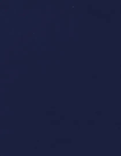 CAD-CUT® Flock - Navy 350 (ca. Pantone 534C)