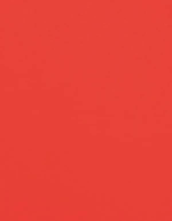CAD-CUT® Flock - Neon Orange 181
