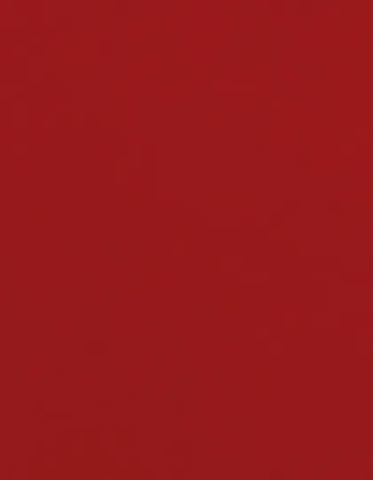 CAD-CUT® Flock - Red 200 (ca. Pantone 1935C)