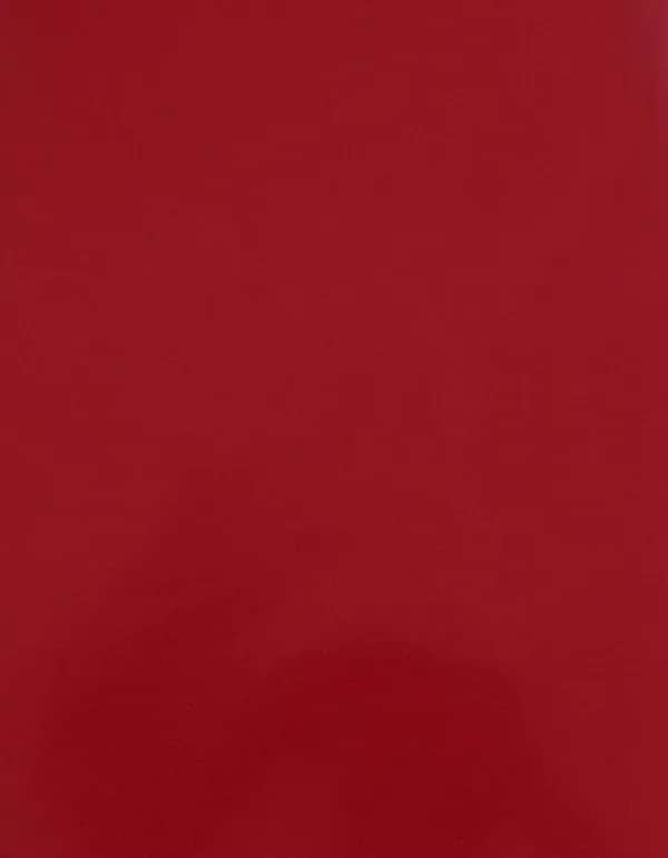 CAD-CUT® Silicone 200 - Red 200 (ca. Pantone 186C)
