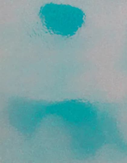 CAD-CUT® Disco - Green 2002